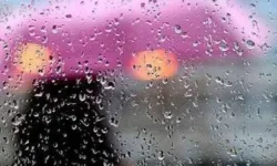 Yurdun kuzeyinde yağış, güneyde açık hava