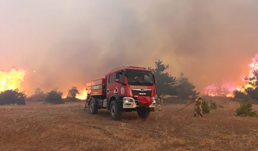 Bakan Yerlikaya'dan 5 günlük yangın raporu: 7 gözaltı, 3 tutuklama