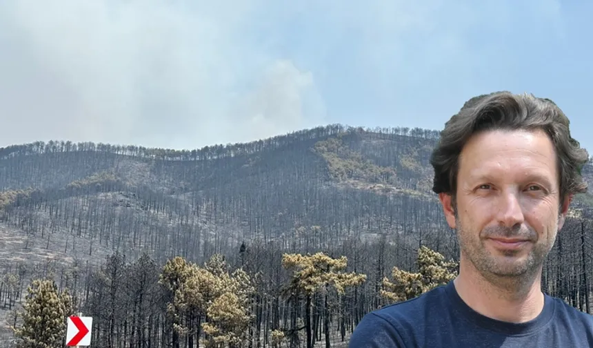 Prof. Dr. Arıcak'tan durum tespiti: Bursa’da 1100 hektarın geri dönüşümü 10 yılı bulacak!